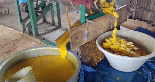 原来芒果干是印度生产,看完制作过程,能吃下去的都是美食扛把子